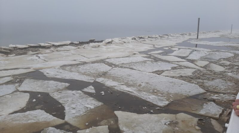 07.02.2026 Wangerooge nach 3 Tagen ohne Fähr- und Flugverkehr, heute die erste Fahrt mit dem MS Harlingerland – ab Montag auch Frachtverkehr – Fotos und Video