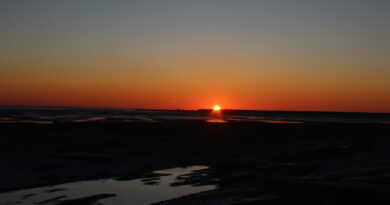 14.02.2026 Sonnenuntergang gegen 17.30 Uhr am Dorfdeich 14.02.2026 Sonnenuntergang gegen 17.30 Uhr am Dorfdeich