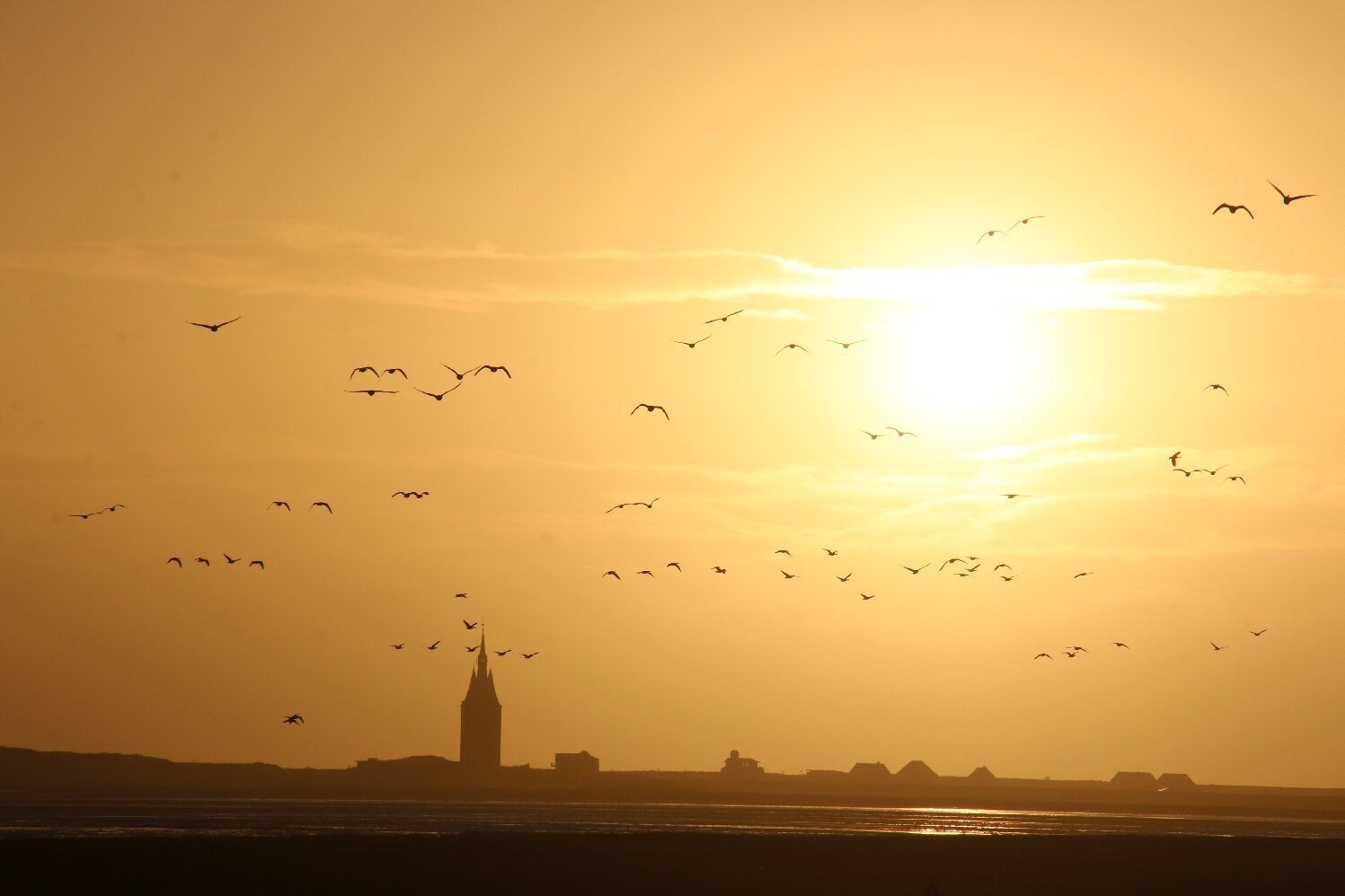 30.03.2026 Sonnenuntergang am Dorfdeich 30.03.2026 Sonnenuntergang am Dorfdeich